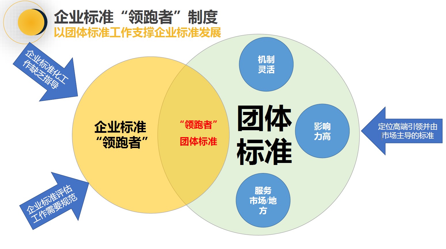 中國包裝聯(lián)合會包裝印刷委員會主任委員許文才教授一行蒞臨鈦瑪科指導(dǎo)工作